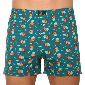 Pánské spodní prádlo Pánské trenky Gino zelené (75182) XL 75182 - DMZMOE Možnost vrácení zboží ZDARMA do 120 dnů!