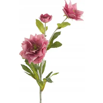 umělá květina Umělá květina dekorativní růžová sasanka čínská 65 cm