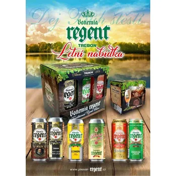 Pivo REGENT LETNÍ MIX karton pack 6 x 0,5 l plech /4,9%/