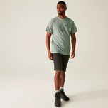 Pánské funkční merino tričko Regatta ESCADE světle zelená XXL