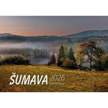 Umění Kalendář Šumava 2026 : Jiří Plachý - Jiří Plachý (2025, čeština)