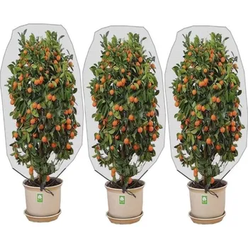 Síť proti ptákům Deminas | TROJBALENÍ - Účinní síť na ochranu rostlin před hmyzem a ptáky