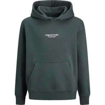 Chlapecké oblečení Jack and Jones Kids' Hoodie Forest River 11-12 let