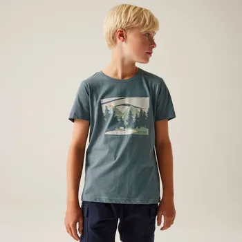 Chlapecké tričko Dětské bavlněné tričko Regatta BOSLEY VIII modrošedá 176