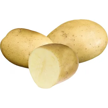 Semeno Nohel Garden Impala sadbové brambory žluté velmi rané 5 kg