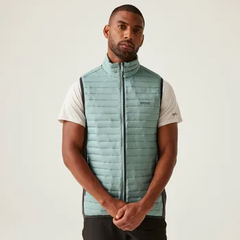 Pánská vesta Pánská lehká vesta Regatta ANDRESON světle modrá/šedá XL