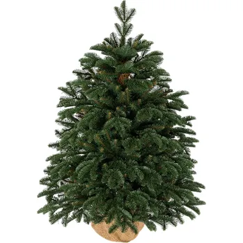 Vánoční stromek Vánoční stromek v květináči 3D Jedle Půvabná 100cm
