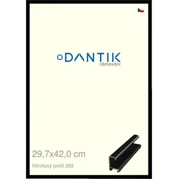 Rám na obraz DANTIK rámeček 29,7x42 | ALU profil 7269 Černá lesklá (Plexi Čiré) (Vyrobeno s láskou u nás v DANTIKU)