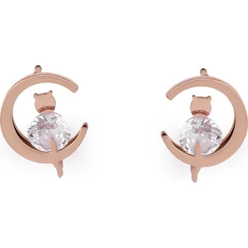 Náušnice Náušnice z nerezové oceli kočka s broušeným kamínkem, barva 2 růžové zlato