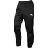 PUMA Teamrise Poly Training Pants 657390-03