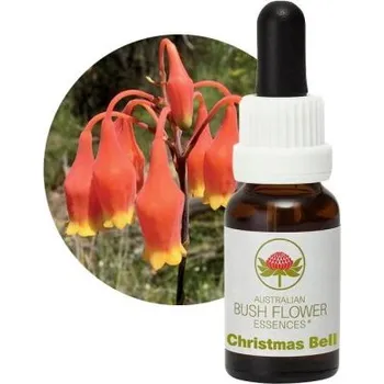 Sazenice Christmas Bell Produkt: Koncentrát 15ml