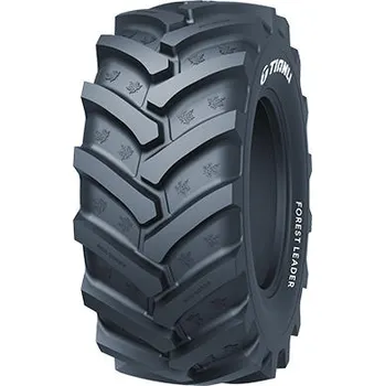 Pneu pro těžký stroj Tianli Forest Leader (ST) LS-2 650/65 R38 171A8/168B