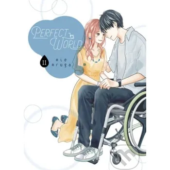 Komiks pro dospělé Perfect World 11 - Rie Aruga Kodansha Comics