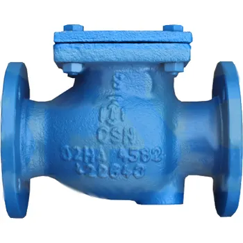 Ventil BESO Zpětná klapka L10 117 016 PN 16 - nerez Verze: DN 80