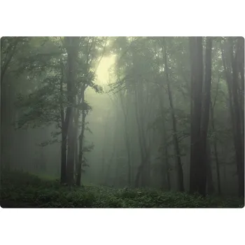 Obraz Ochranná podložka ArtprintCave 70 x 100 cm, vícebarevná