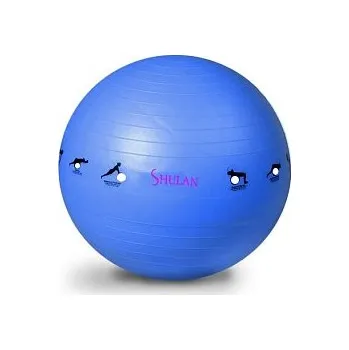 Gymnastický míč Gymnastický míč SHULAN YOGA BALL 65 cm černá