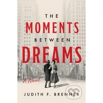Beletrie pro dospělé The Moments Between Dreams - Judith F Bremmer
