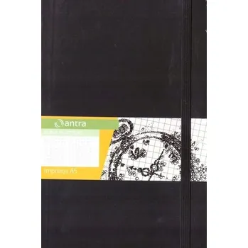 Zápisník Plánovač A5 Antra černý