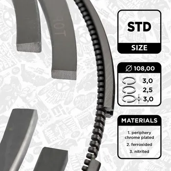 Píst motoru Sada pístních kroužků ET ENGINETEAM R1003000