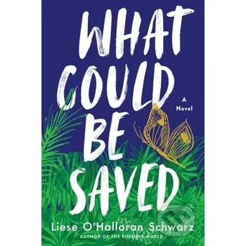 What Could Be Saved - Liese O'Halloran Schwarz Atria Books