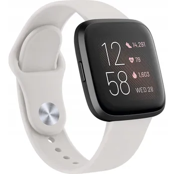 Příslušenství k chytrým hodinkám ŘEMÍNEK PRO HODINKY Fitbit Versa/Versa 2/LITE/SE ŠEDÝ SILIKONOVÝ VODĚODOLNÝ