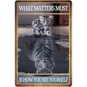 Plechová cedule Retro plechová cedule vtipná kočka | kovová dekorace - 5 , 40x30 cm