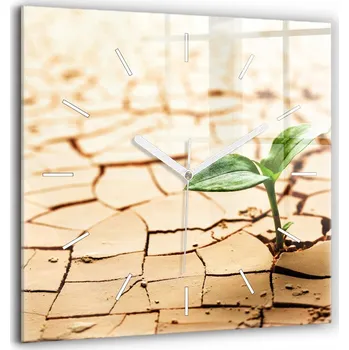 Hodiny Čtvercové Skleněné Nástěnné Hodiny s Motivem Rostliny v Suché Půdě 60x60 cm