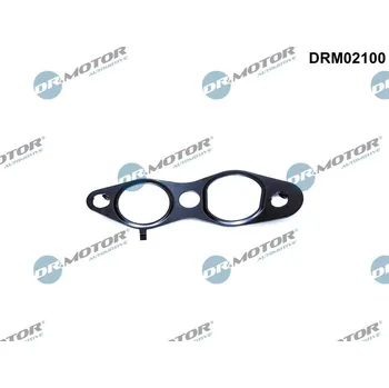 Automobilové těsnění Těsnění, AGR ventil Dr.Motor Automotive DRM02100