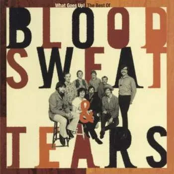 Zahraniční hudba Blood Sweat & Tears: What Goes Up! The Best Of - Blood Sweat & Tears Bertus