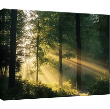 Obraz OBRAZ NA PLÁTNĚ OBRAZ NA PLÁTNĚ STĚNA LES PŘÍRODA STROMY DO LOŽNICE OBÝVÁKU KUCHYNĚ 40x30