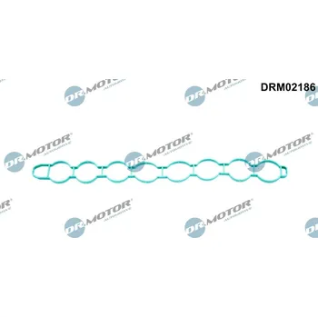 Těsnění motoru Těsnění, koleno sacího potrubí Dr.Motor Automotive DRM02186