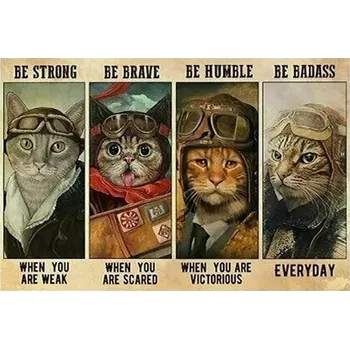 Plechová cedule Retro plechová cedule vtipná kočka | kovová dekorace - 17 , 20x30 cm