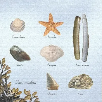 Papírový ubrousek Ubrousek PAPÍROVÝ MOŘSKÝ SVĚT, potisk, 16,5x16,5cm|Esschert Design