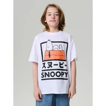 Sinsay - Tričko Peanuts - šedá - 347DZ-09X - 347DZ-09X-140