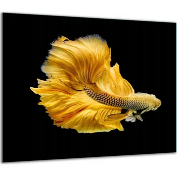 Obraz SKLENĚNÁ OCHRANNÁ DESKA NA SPORÁK 60x52 RYBA