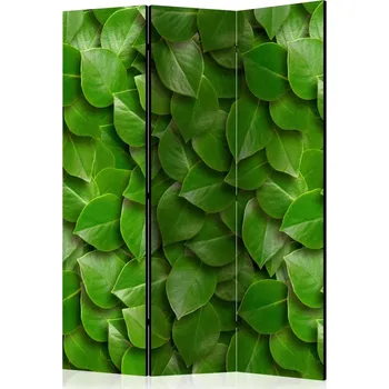 Paraván Paraván – Tajemná zahrada