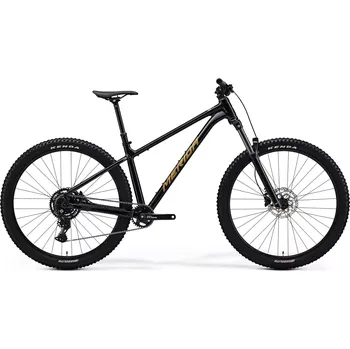 Horské kolo MERIDA BIG.TRAIL 300 Black(Brown) S