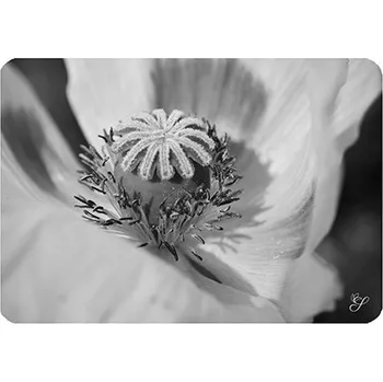 prostírání Prostírání Piedra