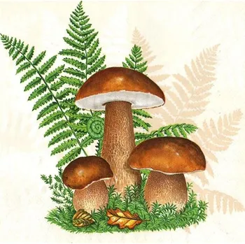 Papírový ubrousek Ubrousky na dekupáž Boletus with Leaves of Fern - 1 ks