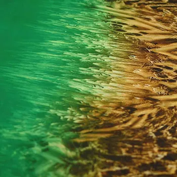 Šifon N4493 zelený, bordura zvířecí vzor, š.150