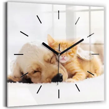 Hodiny Skleněné hodiny s potiskem Nástěnné Tiché ručičky Spící kočka a pes 30x30