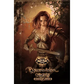 Počítačová hra Neverwinter Nights: Enhanced Edition PC (Počítačová hra)