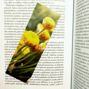 Záložka Záložka do knihy - Athanasia