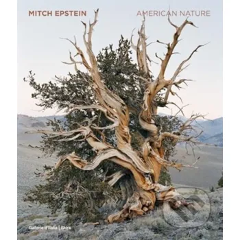 Umění Mitch Epstein - Skira Skira