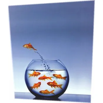 Kroužkový pořadač A4, 35 mm, modrý, akvárium, Design Handy.