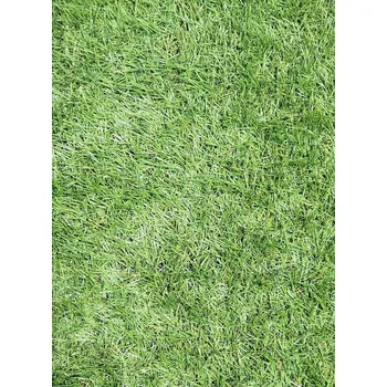 Umělý povrch Vesna Koberec Umělá tráva RAPID, výška vlasu 25 mm, šíře 400 cm