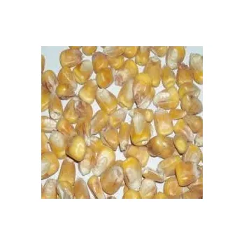 Krmivo pro koně NAVOS Kukuřice krmná 25Kg