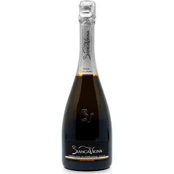 BiancaVigna | Rive di Ogliano DOCG | 2023 | 0,75 l