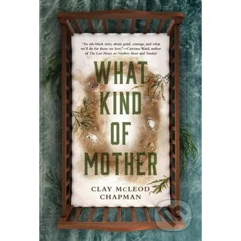 What Kind of Mother - Clay Mcleod Chapman Titan Books