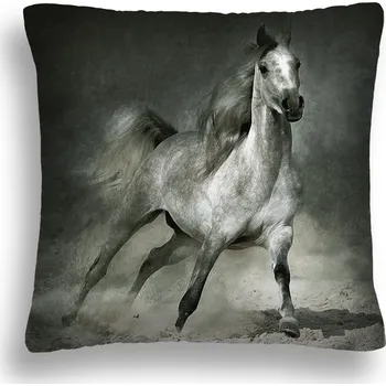 Polštář POLŠTÁŘ NA POLŠTÁŘ POVLAK + VÝPLŇ VLOŽKA POUŠTNÍ KŮŇ 16 70x80